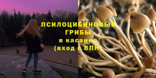 спайс Горно-Алтайск