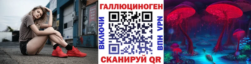 Псилоцибиновые грибы Psilocybe  Купить где  Балаково 